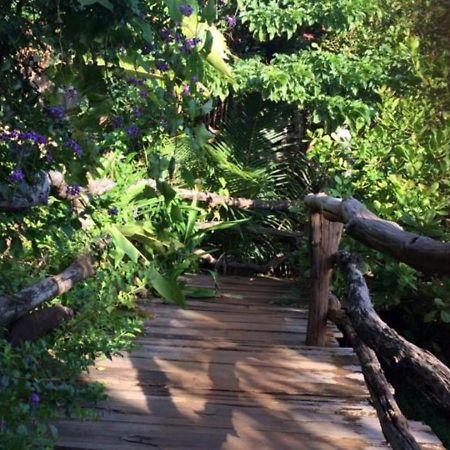 Banlung Tree Top Eco-Lodge מראה חיצוני תמונה